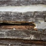 457059567_911750390987448_5159697321274422708_n